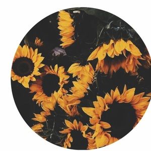 Meet your Posher, Tosh